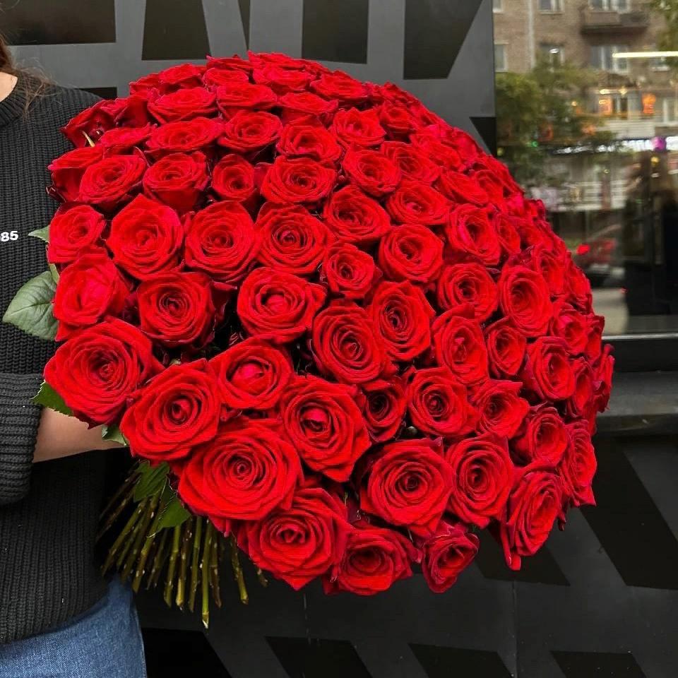 101 бордовая роза под ленту фото 1