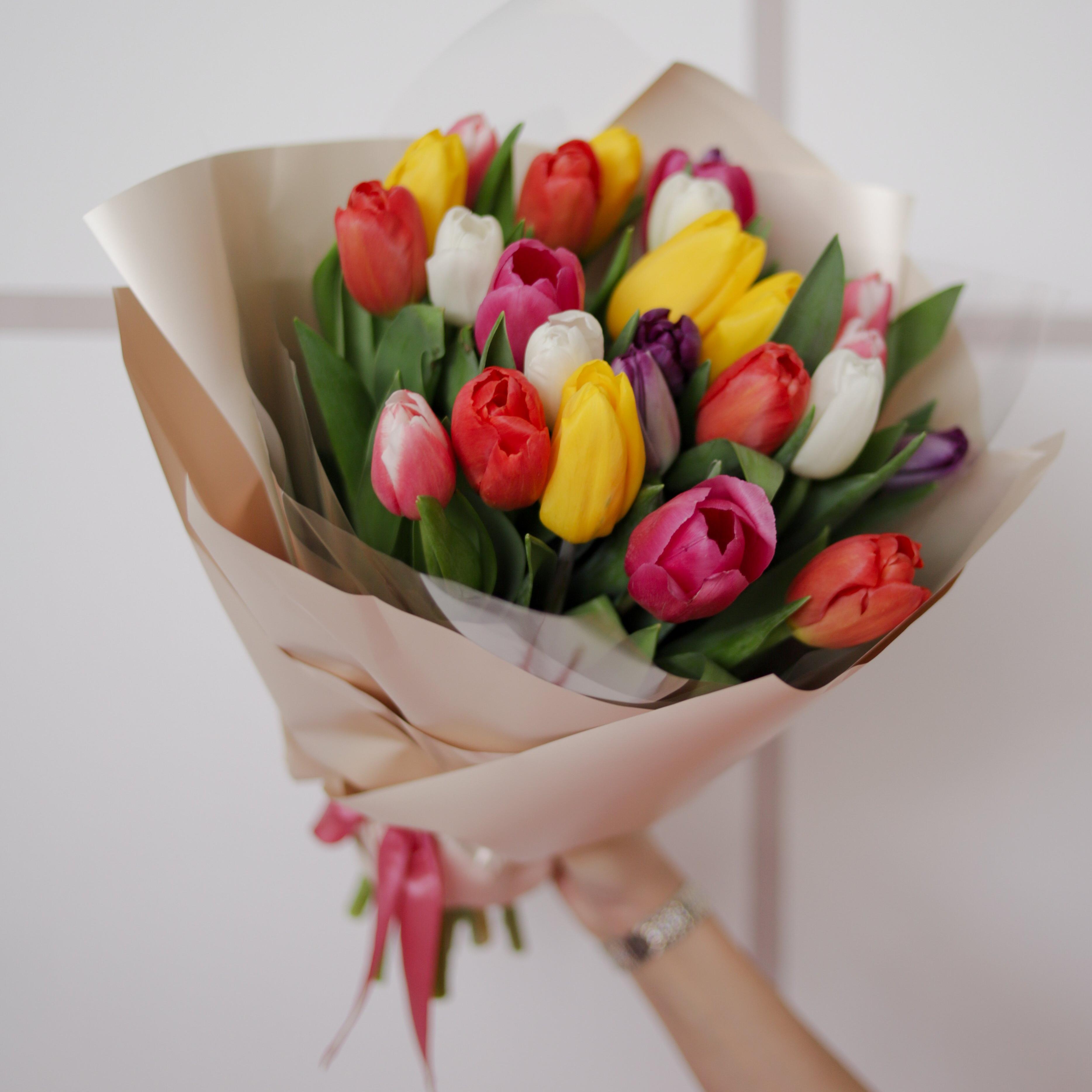25 тюльпанов микс фото 1
