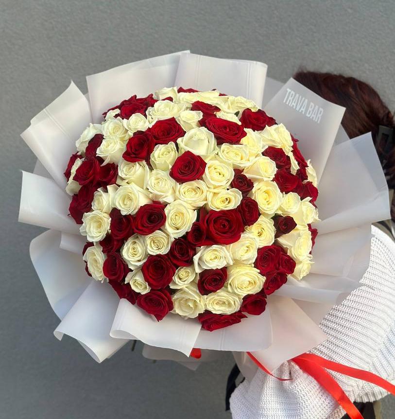 101 красная и белая роза 50/60 см в оформлении