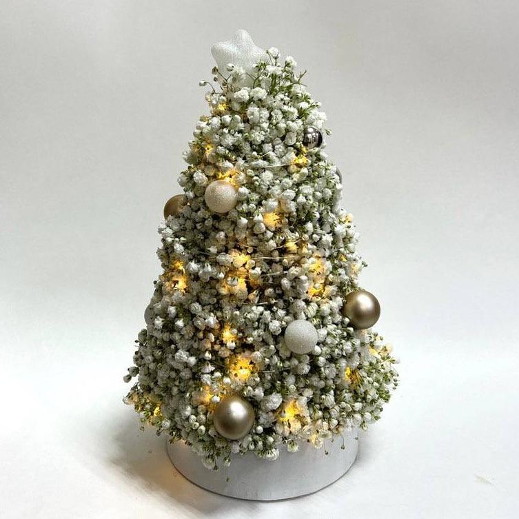 Композиция "Заснеженная красавица"