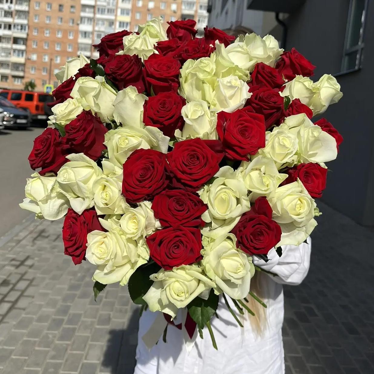 51 красная и белая роза 50/60 см под ленту