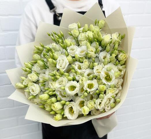 Букет из 19 белых эустом