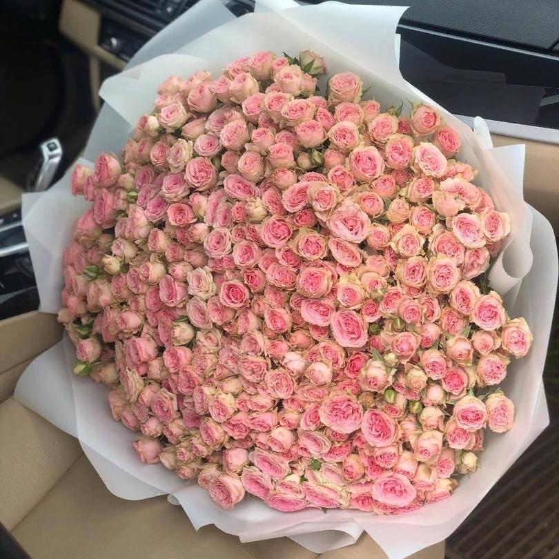 Букет из 101 нежно-розовой кустовой розы 40/50 см