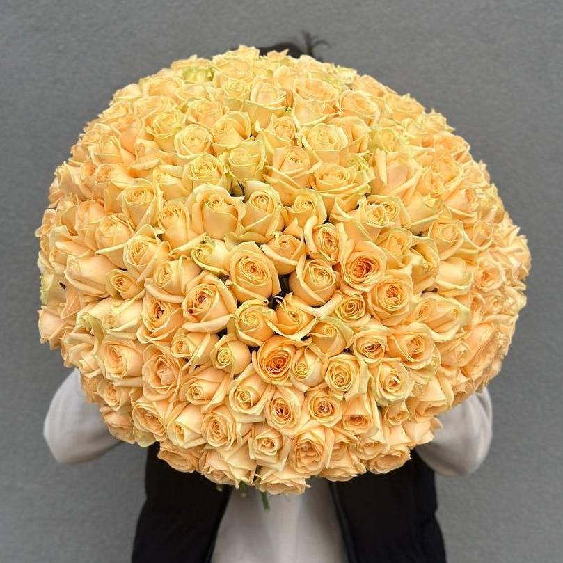 Букет "201 персиковая роза 50/60 см под ленту"