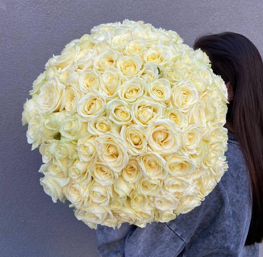 101 белая роза 50/60 см под ленту