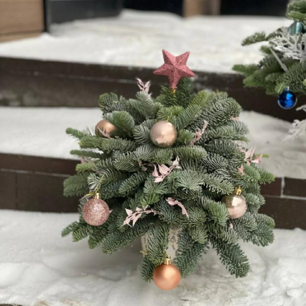 Новогодняя ёлочка в крафтовом стакане "Янтарь" фото 1