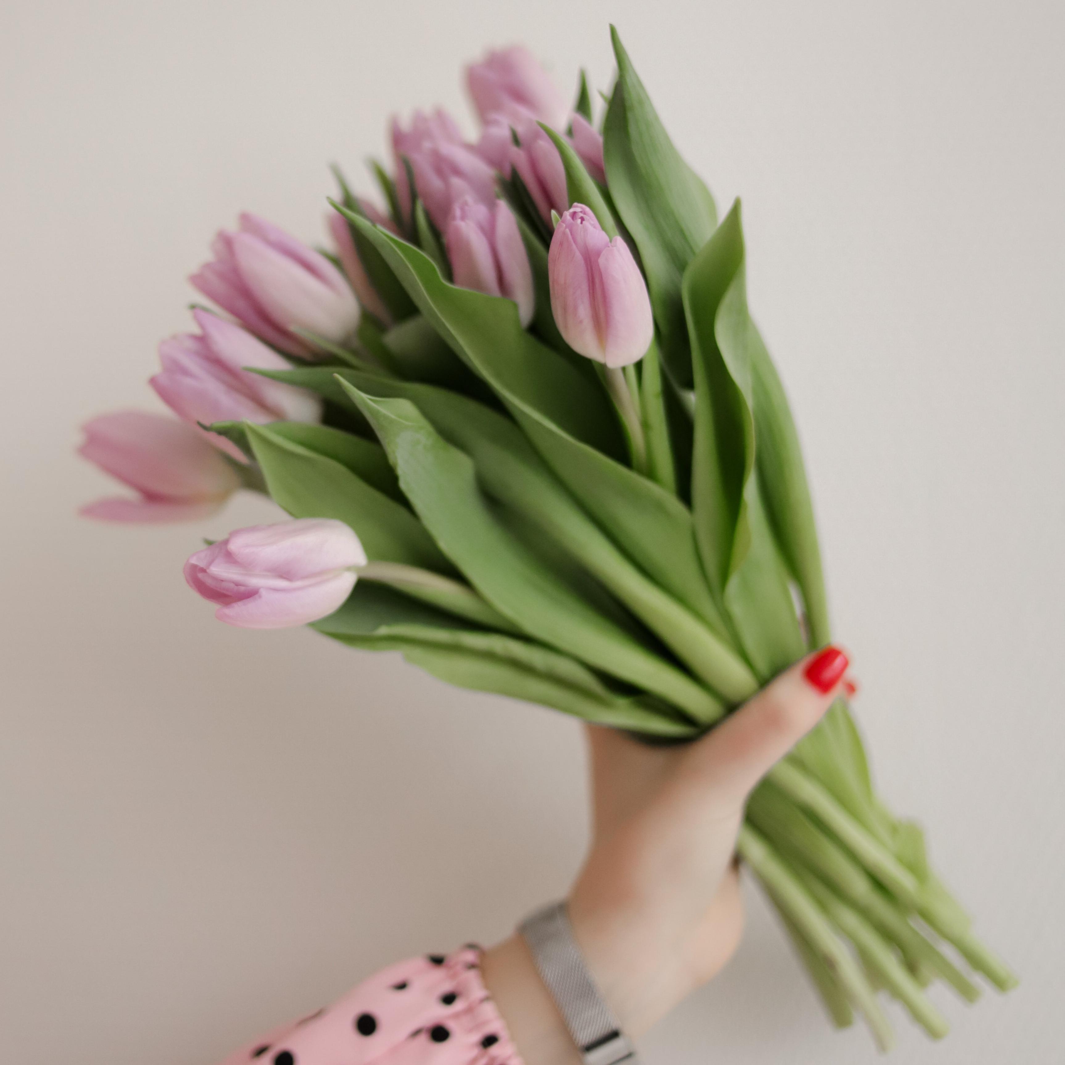 Букет из 15 розовых тюльпанов фото 1