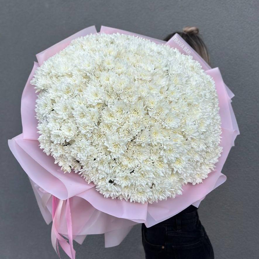 Букет из 101 белой махровой хризантемы