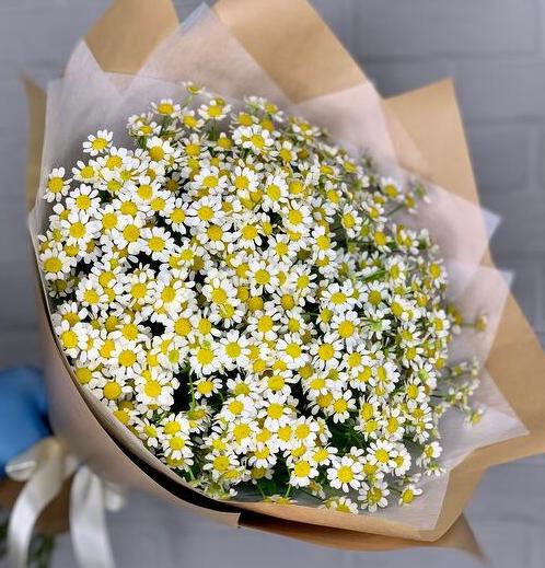 Букет из 15 ромашек