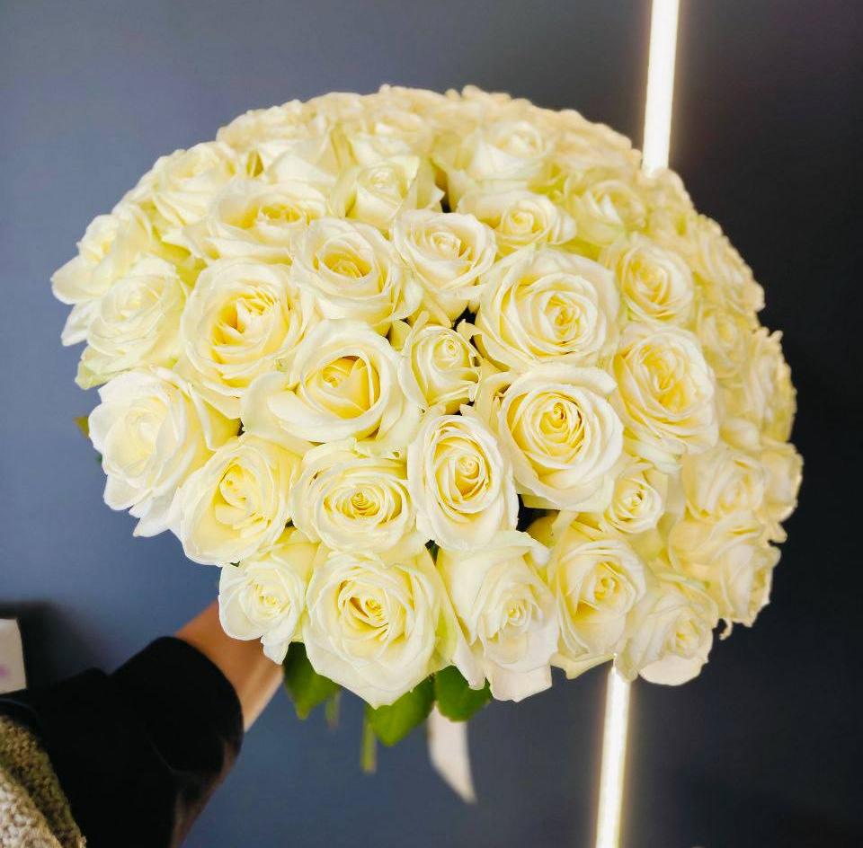 51 белая роза 50/60 см под ленту