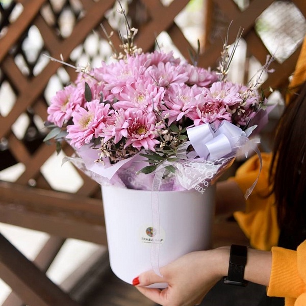 Композиция "Мистраль"