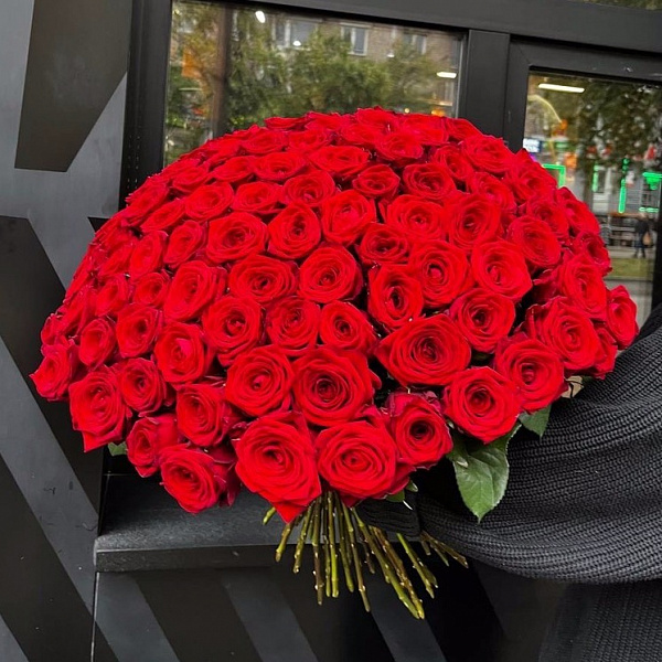 101 бордовая роза под ленту фото 2