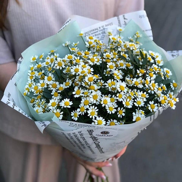 Букет "Ромашки"