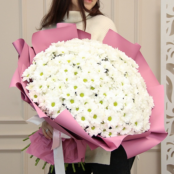 Букет из 101 ромашковой хризантемы