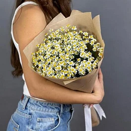 Букет из 11 ромашек